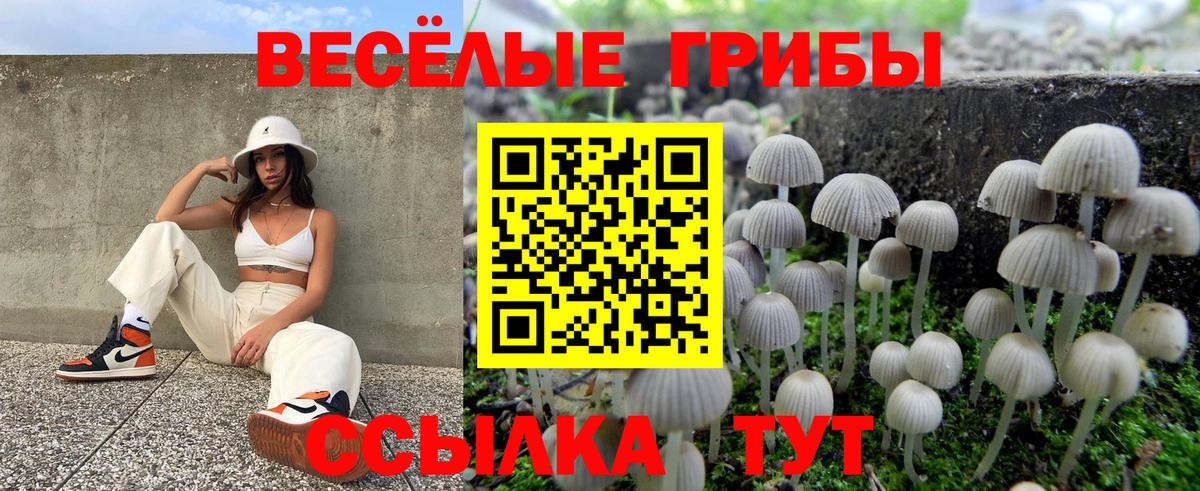 Псилоцибиновые грибы GOLDEN TEACHER  дарнет шоп  Галлюциногенные грибы Magic Shrooms  Лянтор  Вход с VPN 